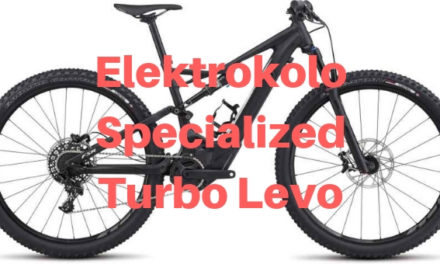 Elektrokolo Specialized Turbo Levo FSR St 29